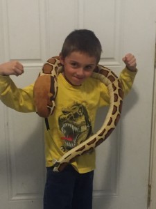 A kid posing with a giant, plush snake.