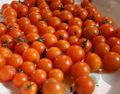 Sungold tomatoes